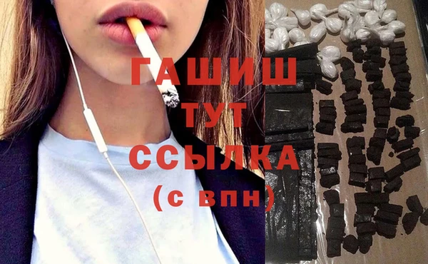 гашик Алексеевка