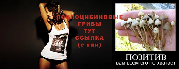 гашик Аркадак
