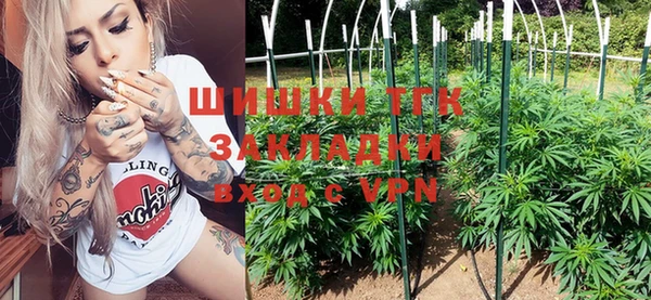 гашик Аркадак