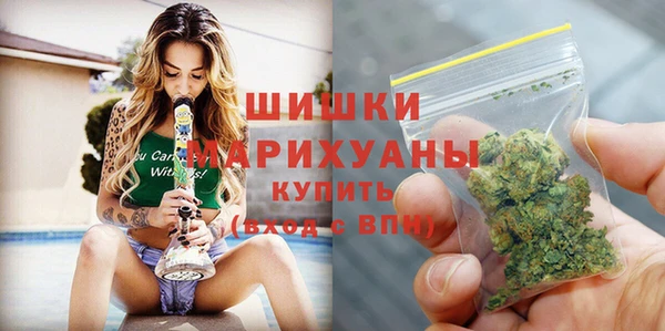 гашик Аркадак